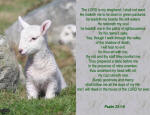 Psalm 23 online jigsaw puzzle