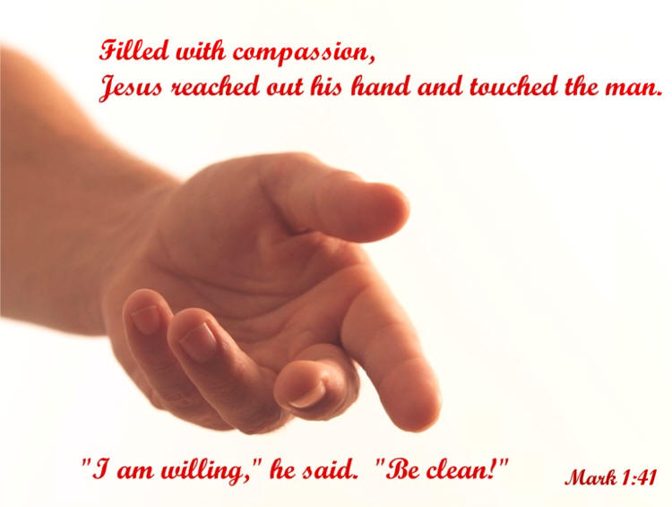Jesus Heals the Man with Leprosy Wallpaper