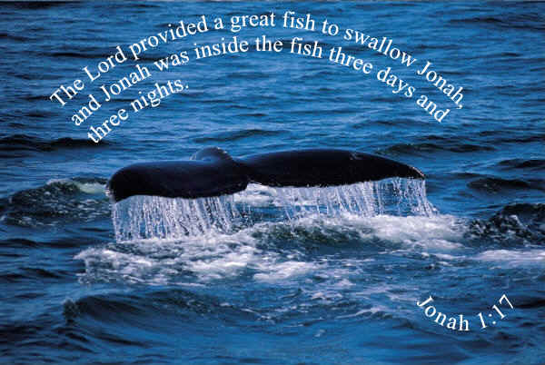 Jonah and the Big Fish Memory Verse - Jonah 1:17