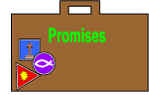 promise suitcase