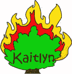 name tags