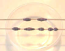 Paper beads